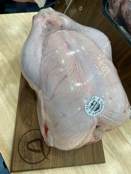 THANKSGIVING Free Range Turkeys from Alberta Farmers